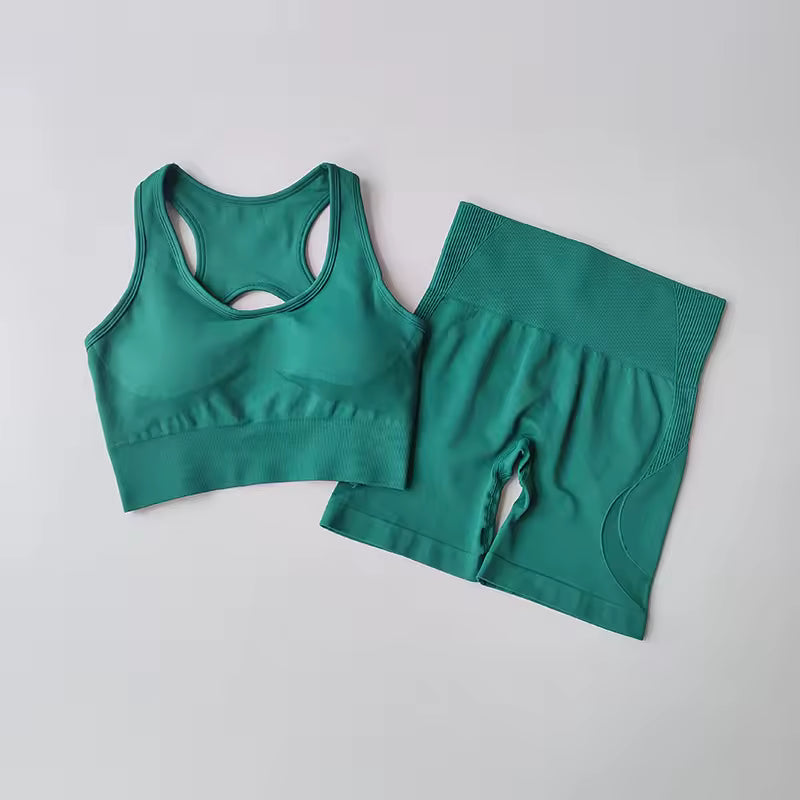 Conjunto feminino sem costuras 2 peças – top desportivo sexy e calções de cintura alta, ideal para yoga, ginásio e treino fitness.