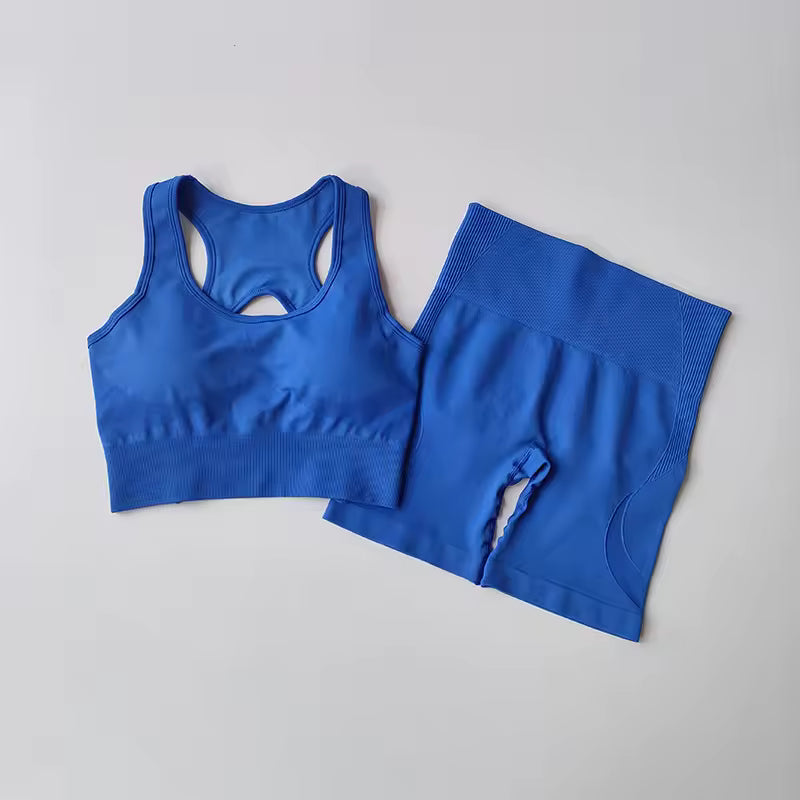 Conjunto feminino sem costuras 2 peças – top desportivo sexy e calções de cintura alta, ideal para yoga, ginásio e treino fitness.